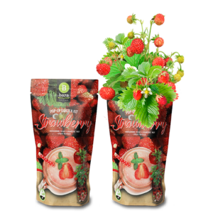 Pop up garden kit Strawberry met gewas