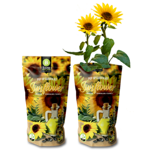 Pop up garden kit Sunflower met gewas