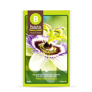 baza bloemen zaden 6640 passiebloem